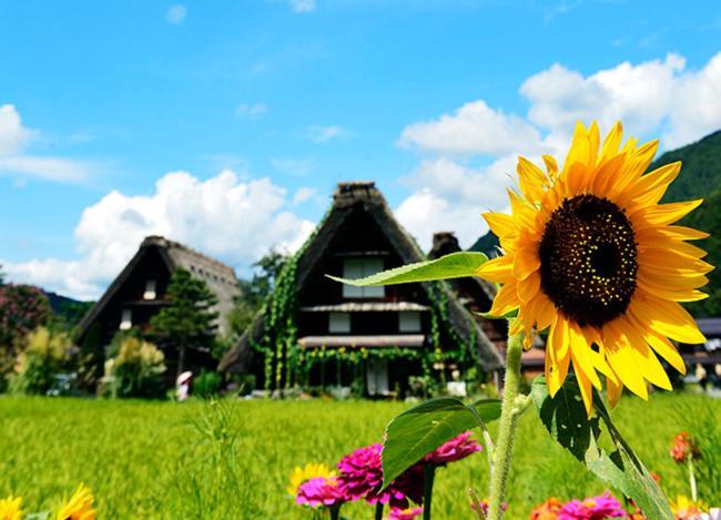 Ferienwohnung 飛騨高山 八軒町戸建 Exterior foto